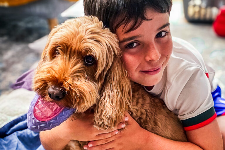 A sibling supported through Momentum's Echoes programme sitting with their dog.