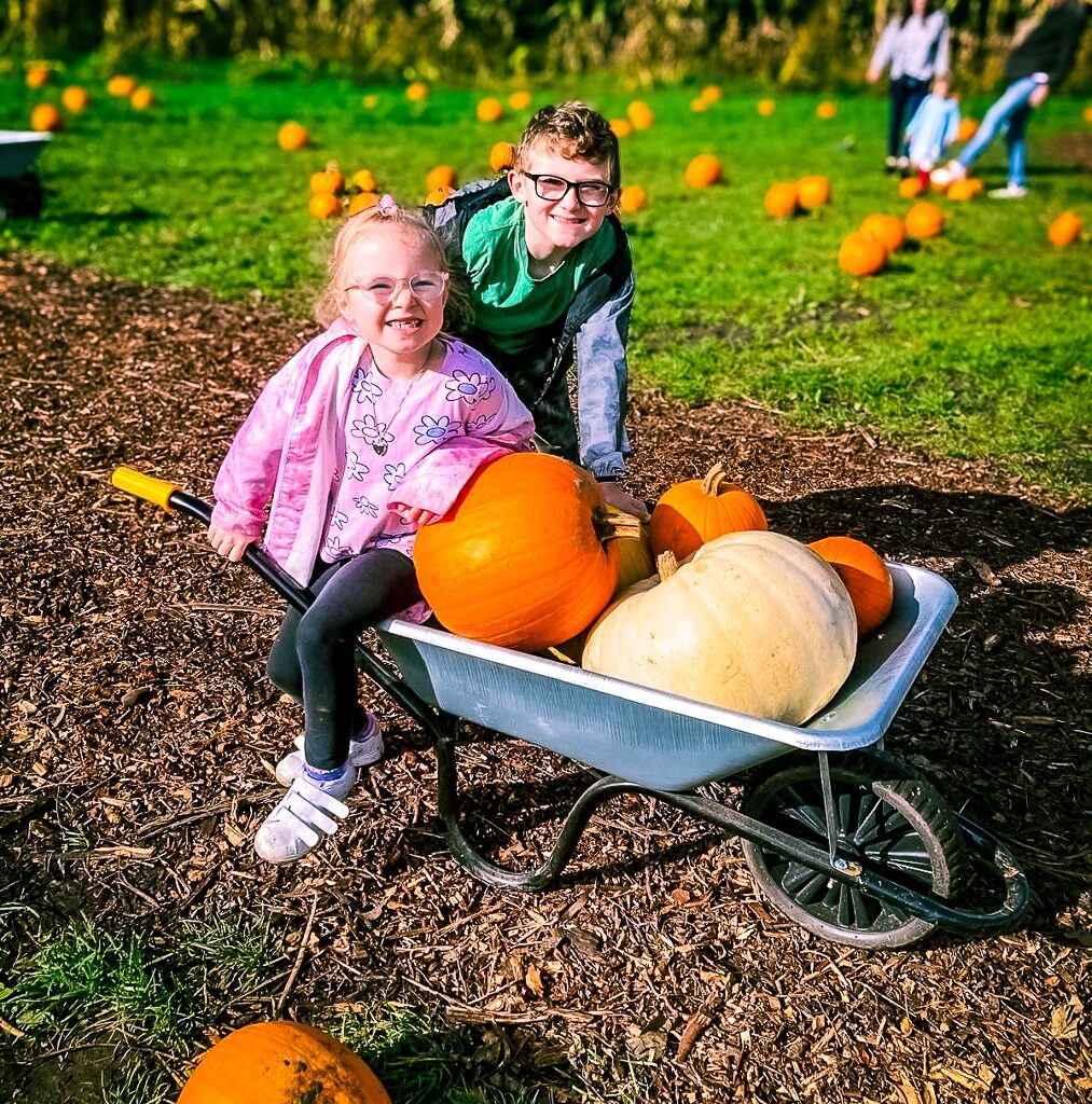 Siblings supported through Momentum's Echoes programme enjoying pumpkin picking at Garsons Farm.
