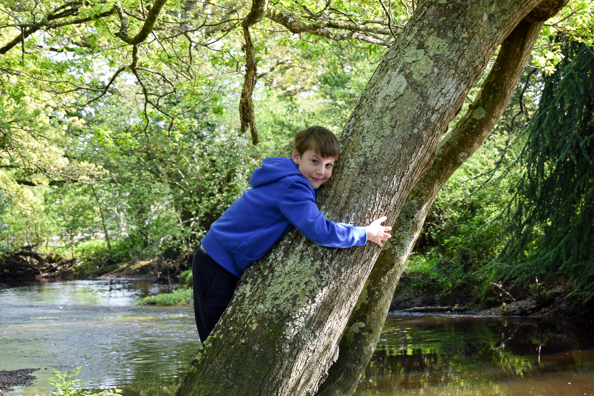 A child hugging a tree during a Momentum respite break.
