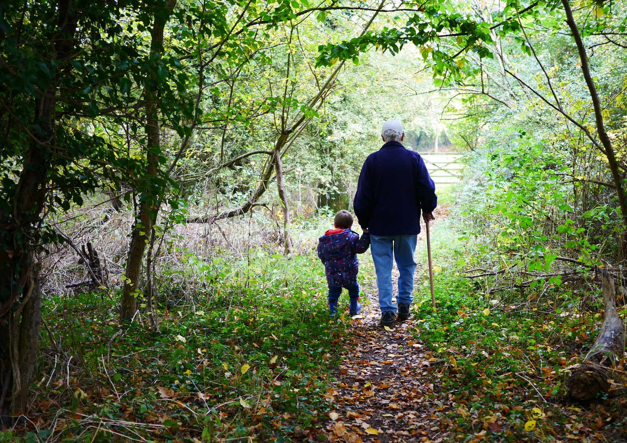 A granparent walks hand in hand through the woods with a small child
