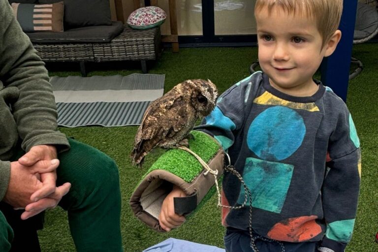 Small boy with a live owl perched on his arm.