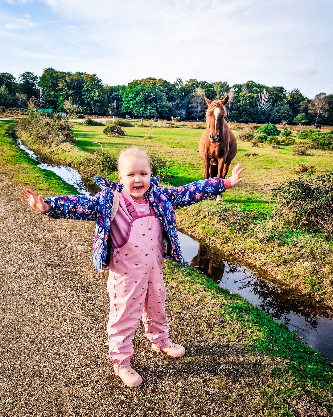 A small girl stretches out her arms wearing pink in front of a wild horse at the New Forest