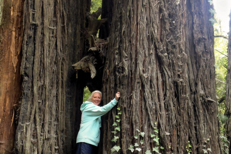A woman stands beside a tree in a forest in California