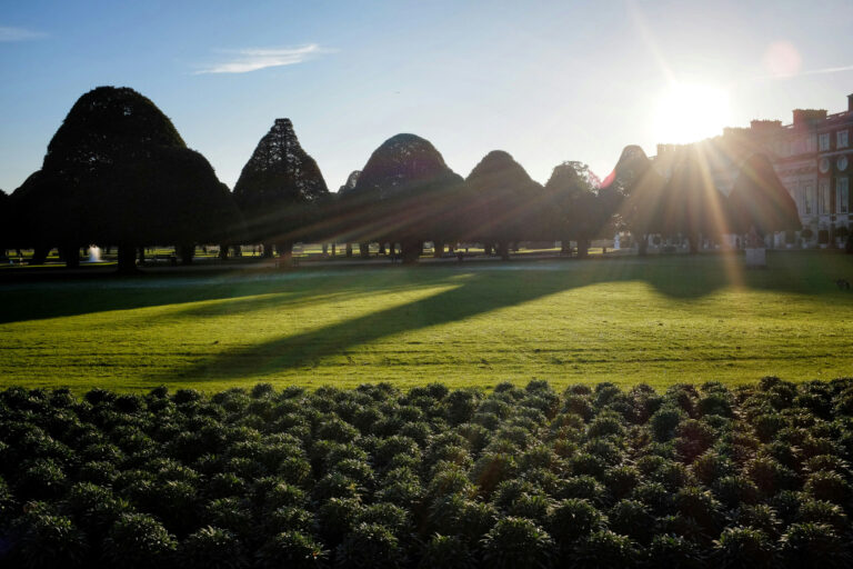 Evening sunlight streams through sculpted trees across the lawns of Hampton Court Palace, showing the scenic surroundings of the Hampton Court Challenge.