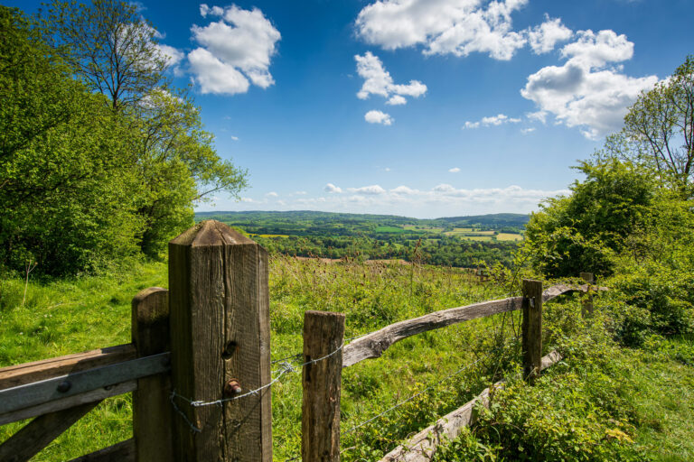 A wooden gate opens onto rolling green countryside, illustrating the rural scenery of the North Downs 50 Challenge running, walking and hiking event.