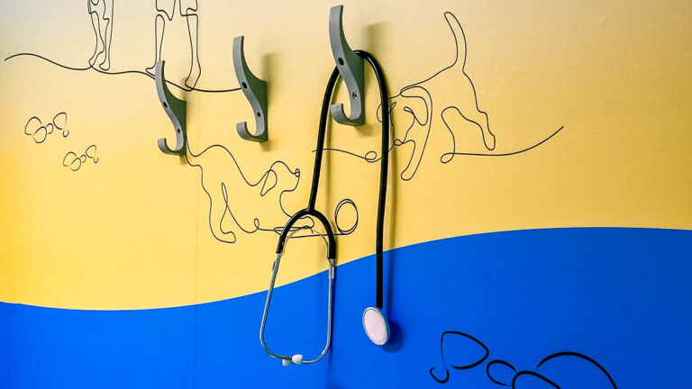 A decorated wall at Worthing Hospital, one of Momentum Children's Charity's partner hospitals.